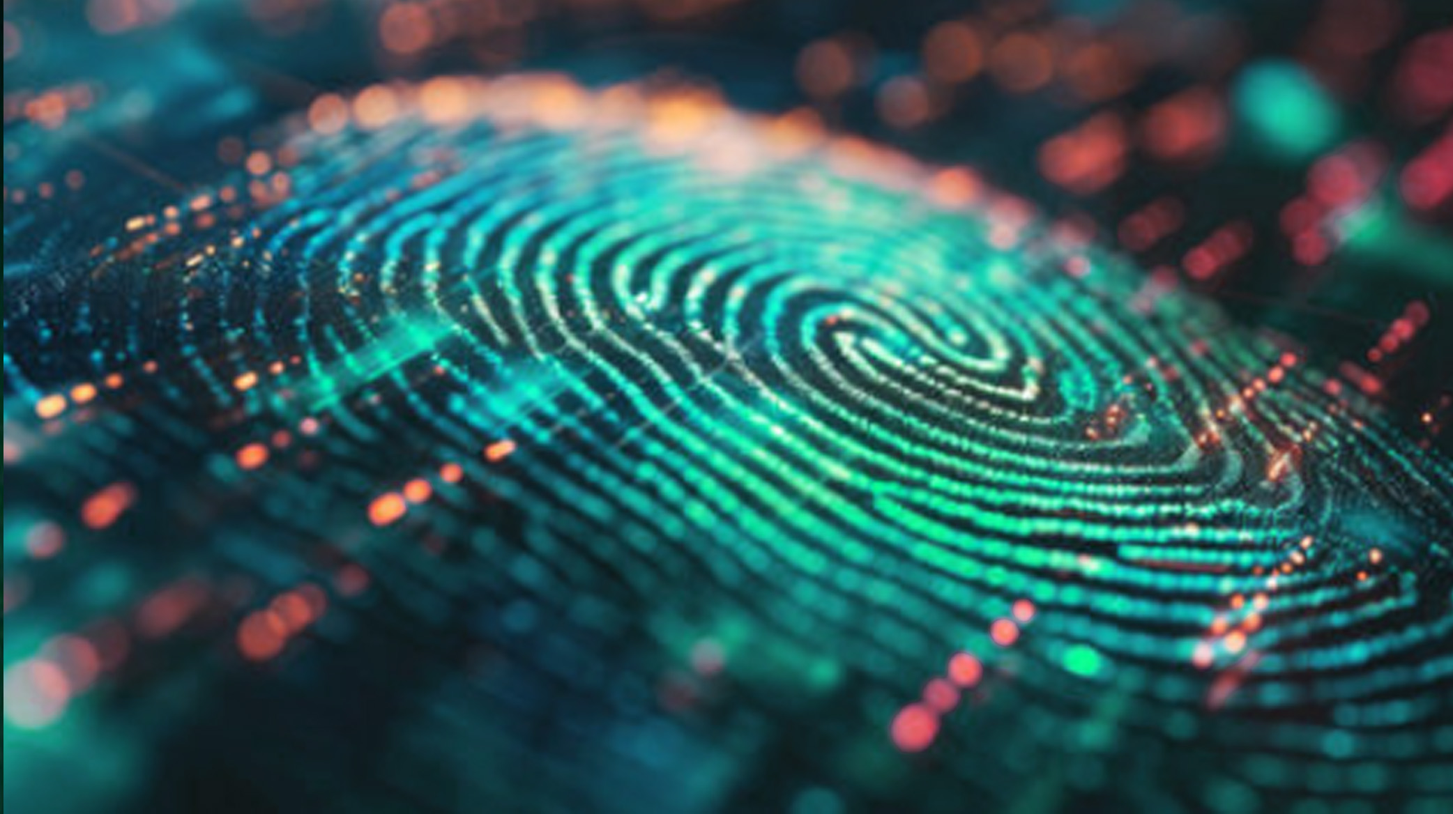 多國法規與品質認證